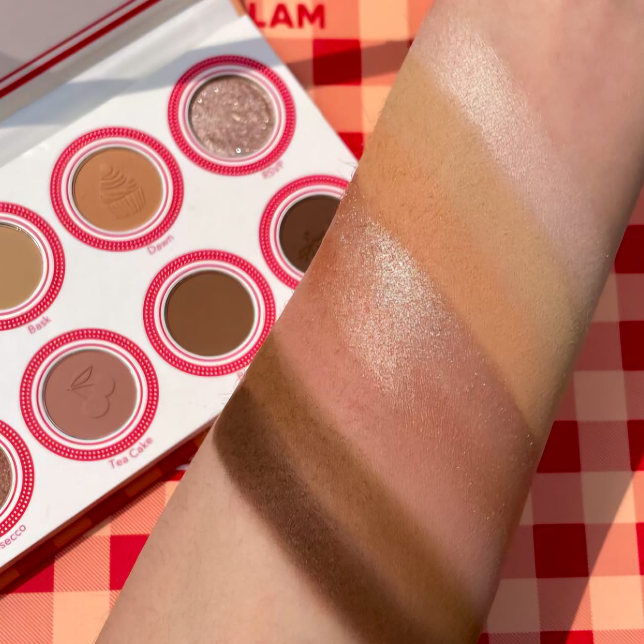 Sheglam Sunday picnic eyeshadow spread Rose Cosmetics